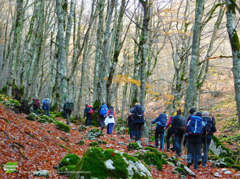 f21d7257-f2b3-407c-a013-666188ffe700 f21d7257-f2b3-407c-a013-666188ffe700