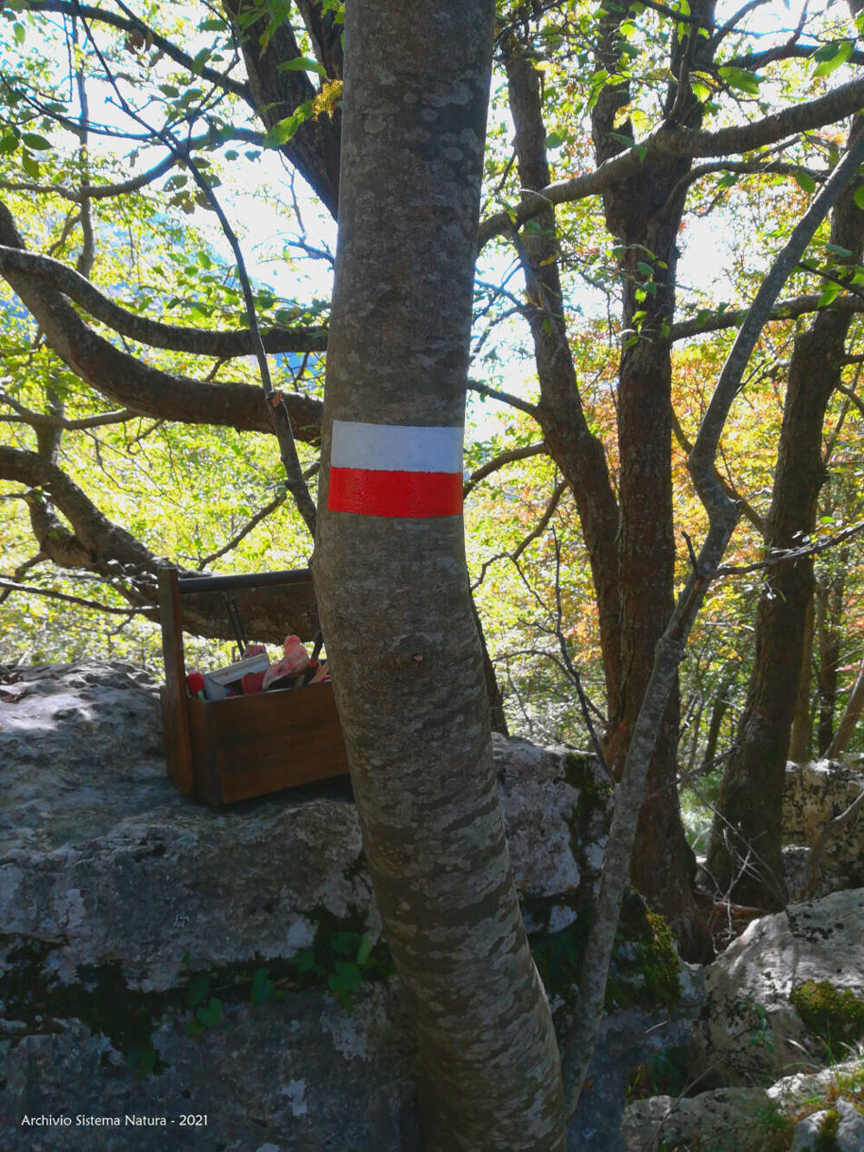 dff9827b-c2ac-4889-a33d-3f23cbc64f9c