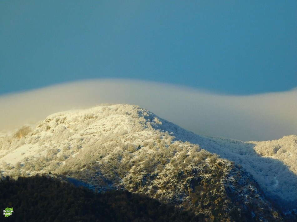 62c2d3d3-0182-4473-8dfc-a2de6cf720de 62c2d3d3-0182-4473-8dfc-a2de6cf720de