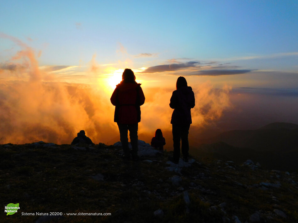 436fba9a-585a-418f-b714-d5154ceb7eca