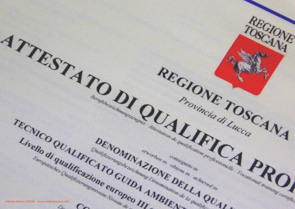 2026616a-8382-4de0-8039-675b25a66e29