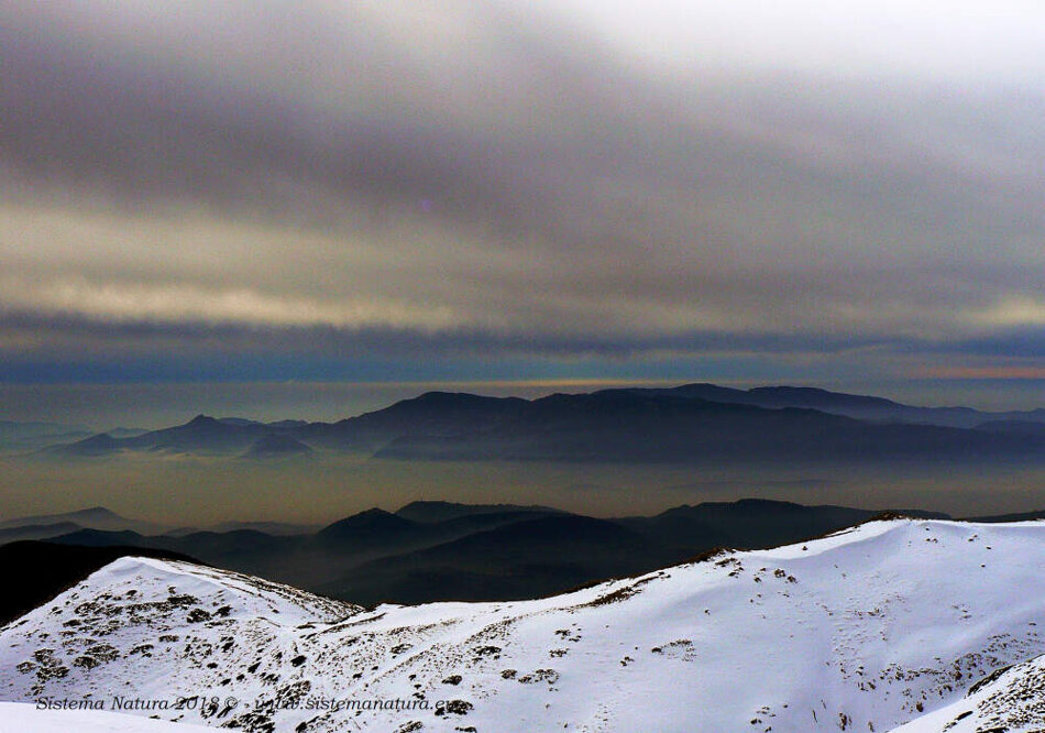 75553552-5390-47c4-ac2c-e6b2f3070684