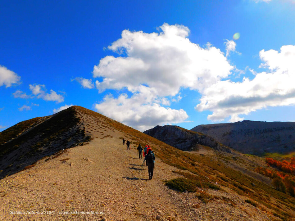 393e3a1d-3ad3-4c4a-ab05-804ad3dc4690