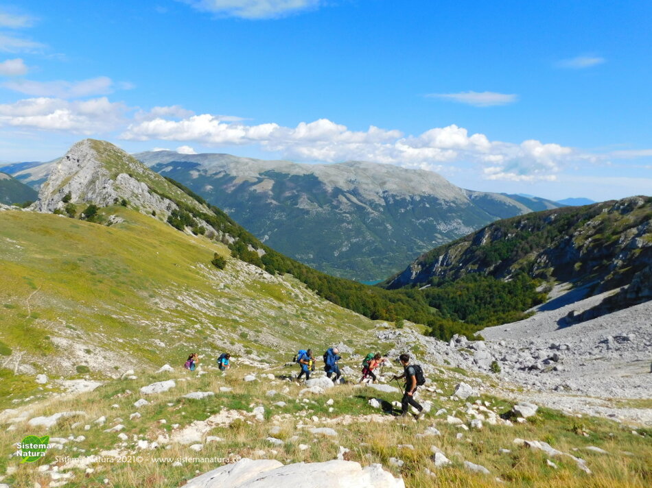 c6113c0d-eb0f-49a6-8116-669a47313985