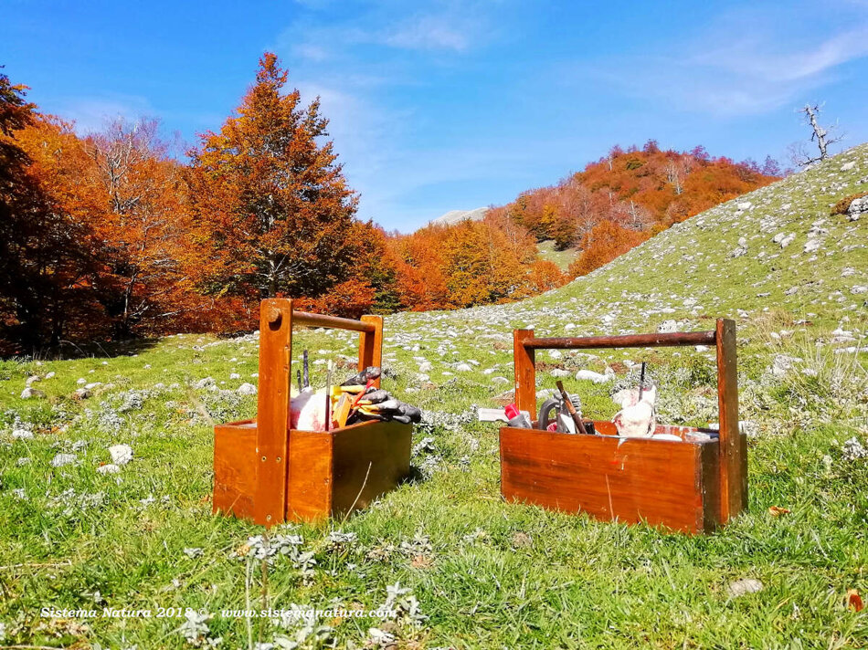 91b3821d-687a-4a7f-8f96-358b3c4b4c25