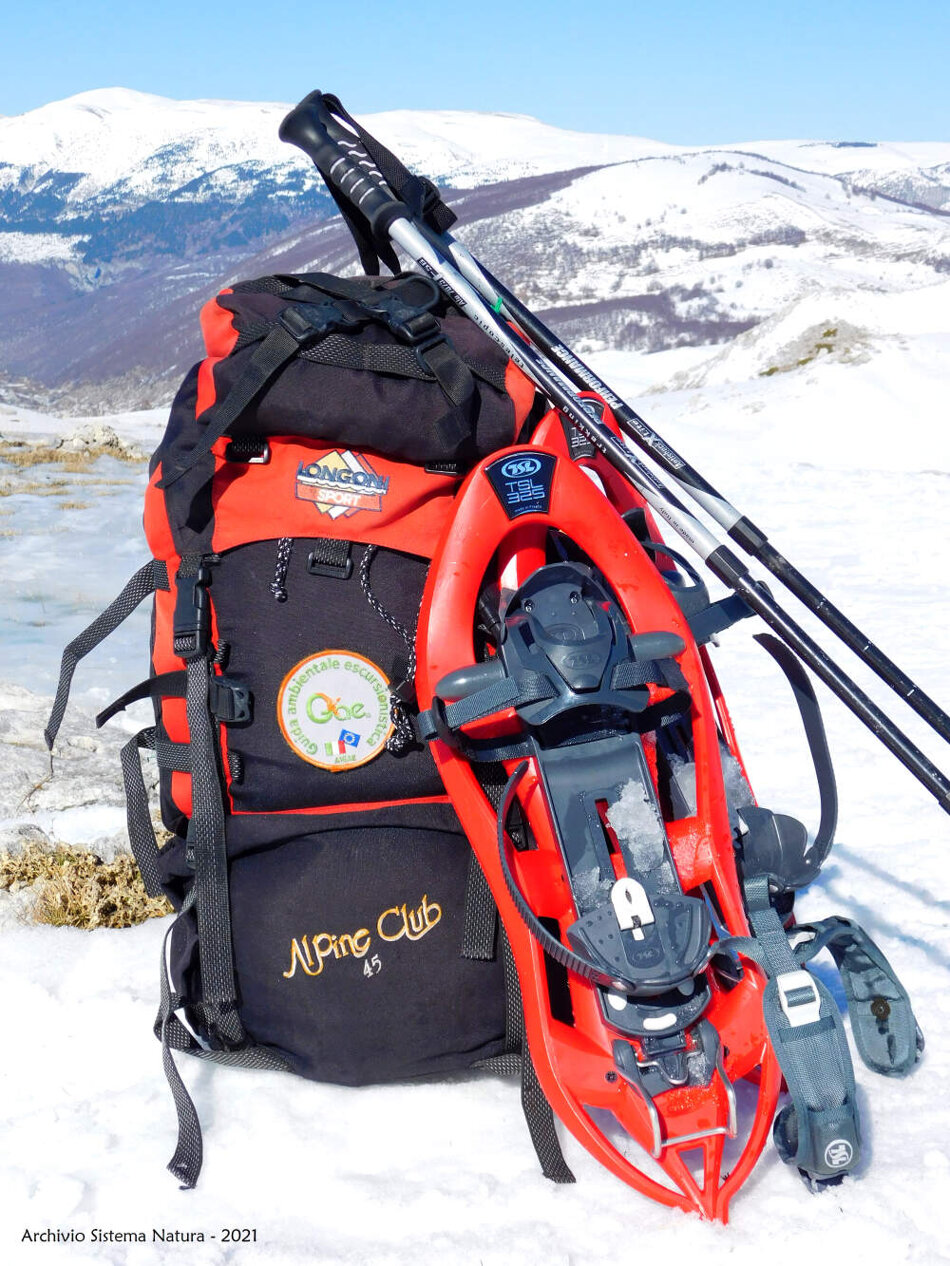 bcff1d1f-fd96-4a5f-990a-f9c3f538a59c