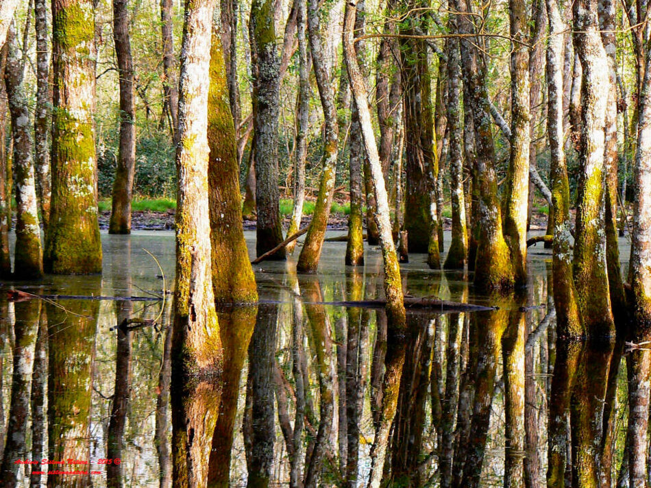 8a6aae77-b38f-4edf-8869-5d31201fd483