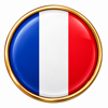 distintivo lucido della bandiera francese