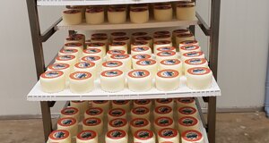 profumatori%20vari%20usi%201.jpeg profumatori%20vari%20usi%201.jpeg