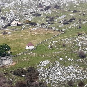 whatsapp%20image%202026-03-12%20at%2015.36.41.jpeg