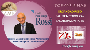 de88983e-b25b-473a-83ae-ec24fe51a39c