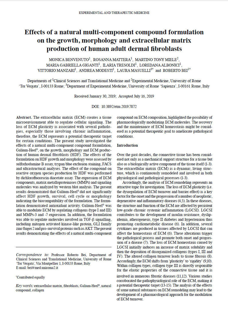 81a85a34-c2ee-46ad-a0e7-8bcdd1efa4a9