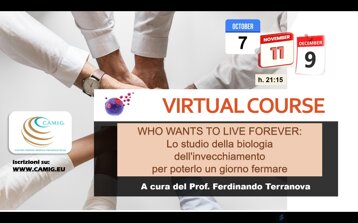 0e419128-a47c-4540-aaef-63b3e8013f4e