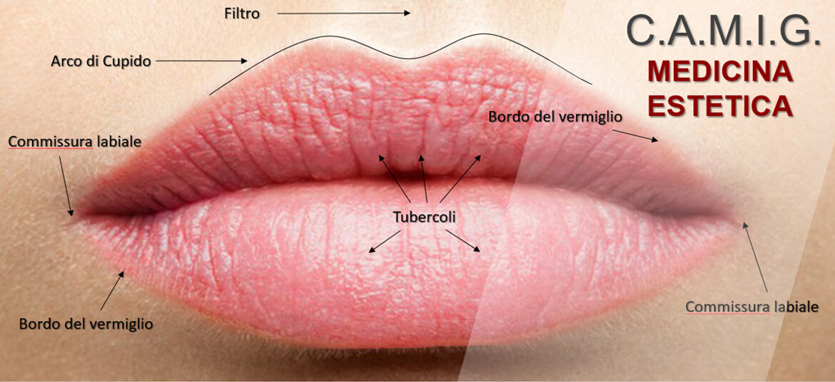 333fa36f-ade0-4278-ab09-8f9dc7f892e5 333fa36f-ade0-4278-ab09-8f9dc7f892e5