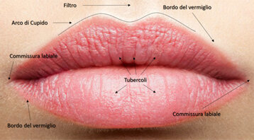 78740c5d-1f9e-47cf-9f97-afd92f7951f0