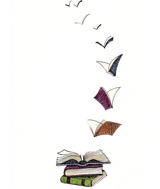 a9d8506a-98aa-4d41-9ccc-02bdc71ff1a5.jpeg a9d8506a-98aa-4d41-9ccc-02bdc71ff1a5.jpeg