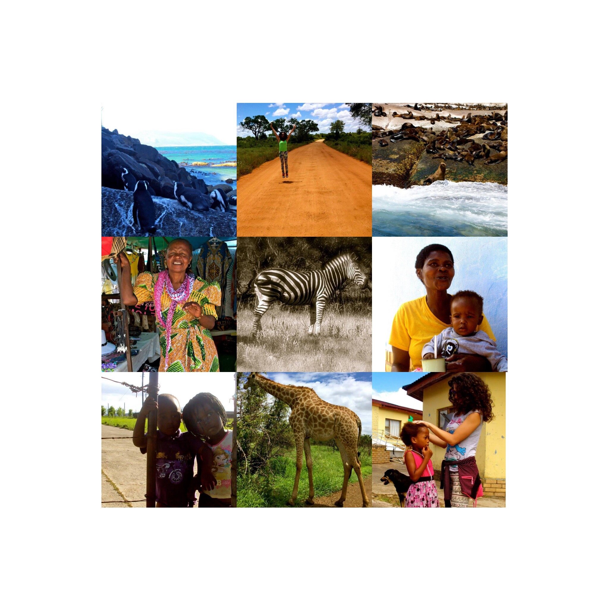 South Africa's Rainbow Nation