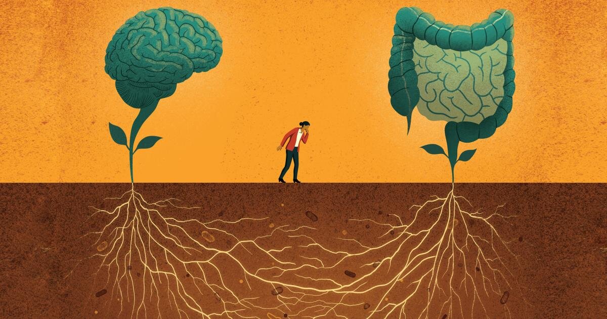 I deficit nutrizionali di Omega-3 possono influenzare il microbiota intestinale e contribuire allo sviluppo dell'autismo? I deficit nutrizionali di Omega-3 possono influenzare il microbiota intestinale e contribuire allo sviluppo dell'autismo?