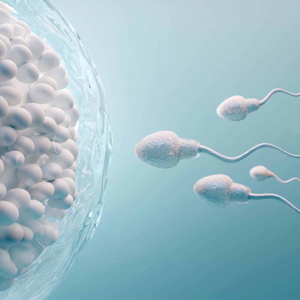 Melatonina e fertilit&agrave;: ruolo fisiologico e implicazioni cliniche