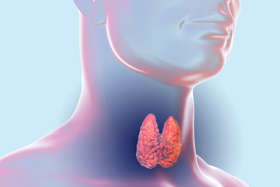 Gli effetti della supplementazione di selenio nel trattamento della tiroidite autoimmune Gli effetti della supplementazione di selenio nel trattamento della tiroidite autoimmune
