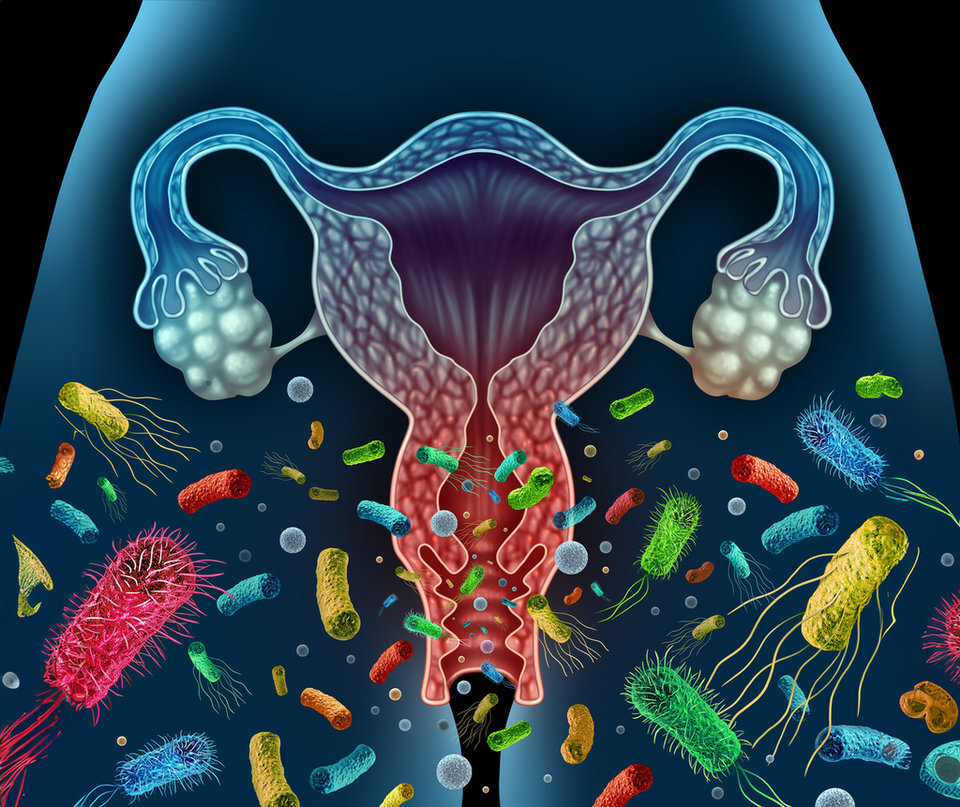 Alimentazione e microbiota vaginale