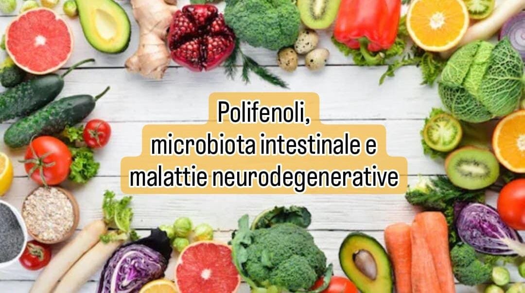 Polifenoli, microbiota intestinale e malattie neurodegenerative