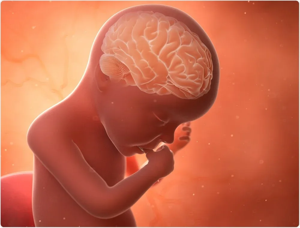Microbiota intestinale e neurodivergenze: verso biomarcatori precoci e nutrizione di precisione Microbiota intestinale e neurodivergenze: verso biomarcatori precoci e nutrizione di precisione
