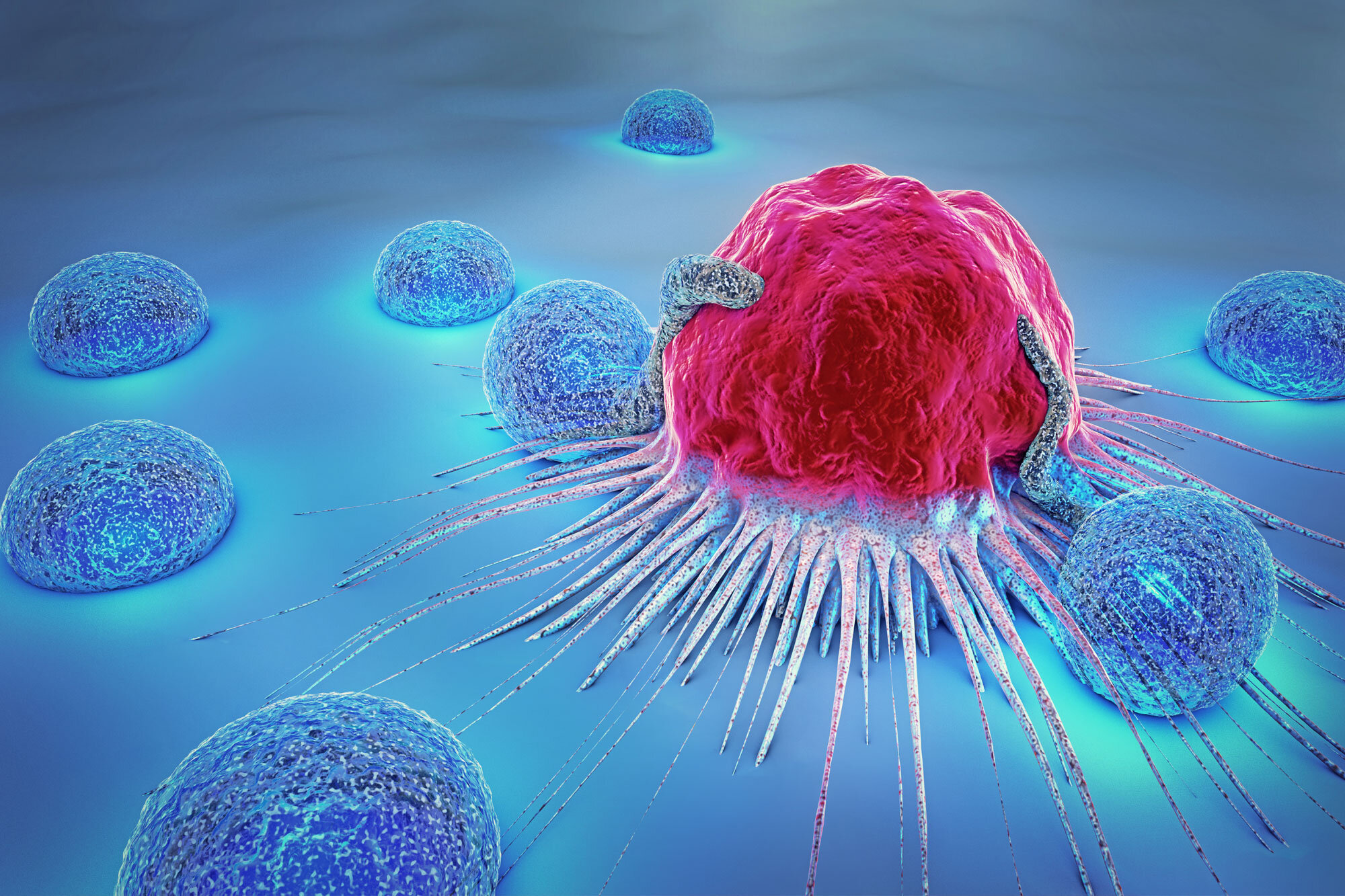 Microbiota intestinale, aminoacidi e cancro: il ruolo di un singolo gene batterico nella competizione metabolica tumore–sistema immunitario Microbiota intestinale, aminoacidi e cancro: il ruolo di un singolo gene batterico nella competizione metabolica tumore–sistema immunitario