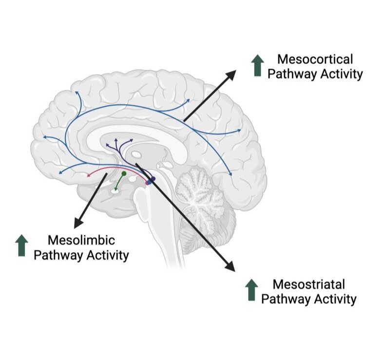 Effetti anoressizzanti del metilfenidato