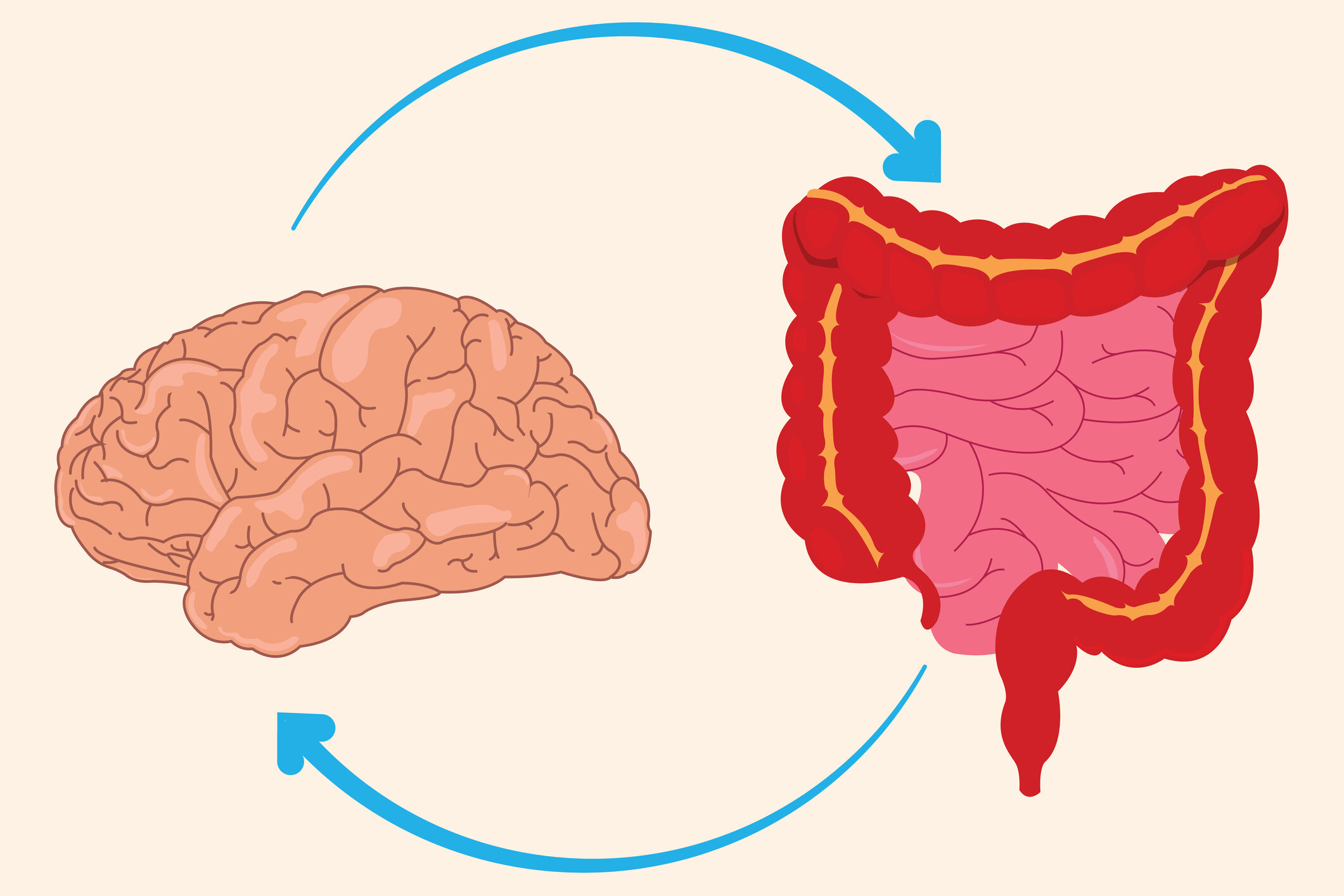 Dieta, Microbiota e Cervello: come l&rsquo;alimentazione modula salute mentale, neuroinfiammazione e comportamento