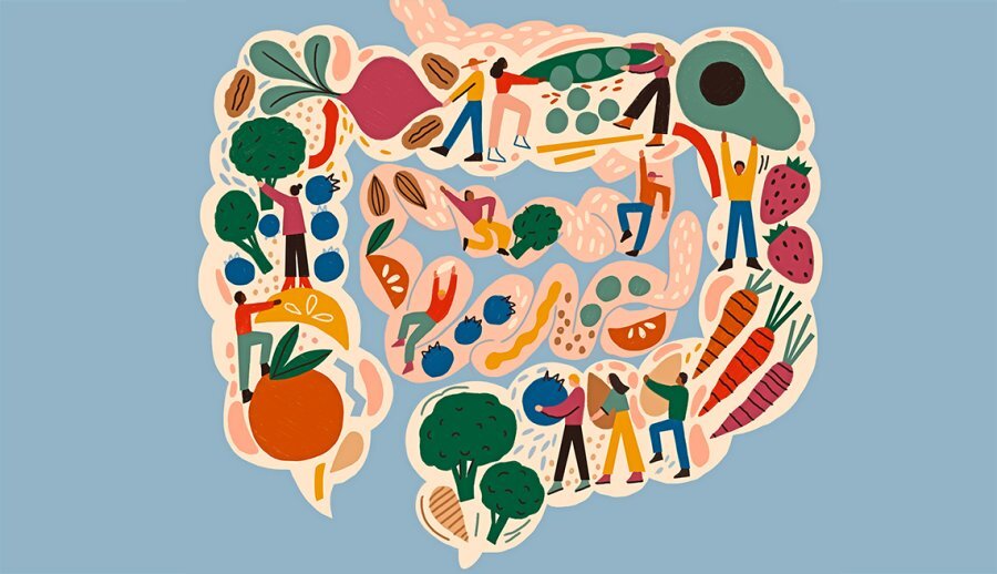 Quattro metodi scientifici per prendersi cura del microbiota intestinale Quattro metodi scientifici per prendersi cura del microbiota intestinale