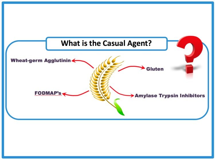 Fibromialgia e glutine: esiste davvero un collegamento? Fibromialgia e glutine: esiste davvero un collegamento?