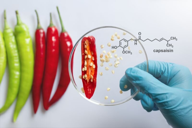 Peperoncino e ADHD: pu&ograve; il microbiota intestinale fare da ponte?