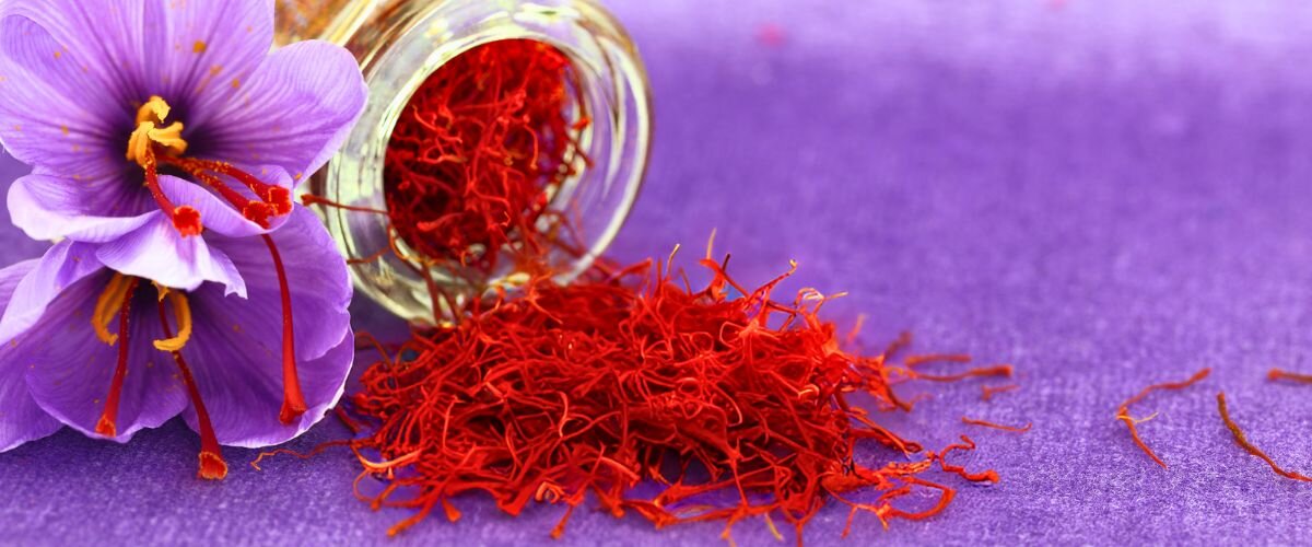 Zafferano standardizzato e invecchiamento: evidenze precliniche su memoria, ansia e metabolismo Zafferano standardizzato e invecchiamento: evidenze precliniche su memoria, ansia e metabolismo