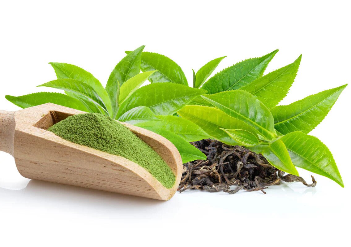 Tè verde: nutraceutico funzionale per il cervello, il microbiota e l'umore Tè verde: nutraceutico funzionale per il cervello, il microbiota e l'umore