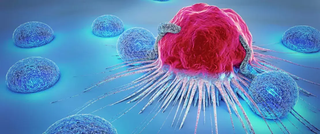 Il microbiota tumorale: verso una nuova oncologia ecosistemica