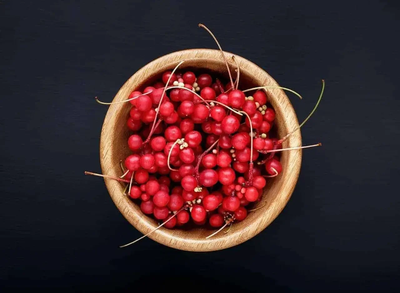Schisandra chinensis: modulazione redox, infiammatoria e neuro-metabolica tra fegato e cervello Schisandra chinensis: modulazione redox, infiammatoria e neuro-metabolica tra fegato e cervello