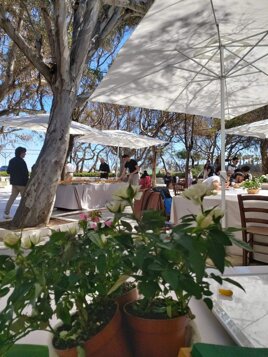 e4a85558-767d-446d-821e-d1c20b705dbc.jpeg e4a85558-767d-446d-821e-d1c20b705dbc.jpeg