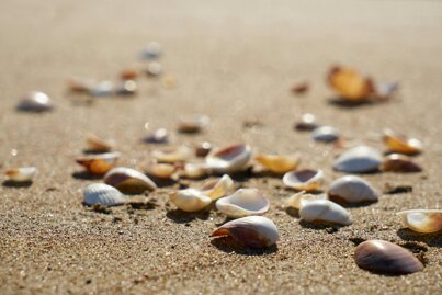 42e2b1fc-d8ce-482d-a432-b1e356a32bb7.jpeg