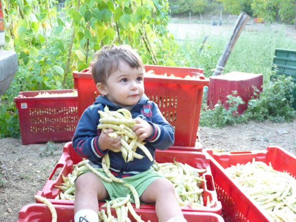 7425f253-41f2-4b30-a7d9-99855121fe17