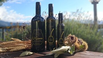 6d7cf9ed-80cd-47f9-972b-904c9f725306