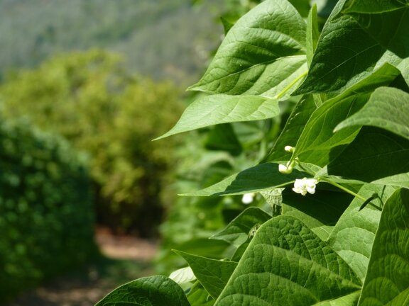 aa670bb7-e619-47e3-b220-e896725dffbe