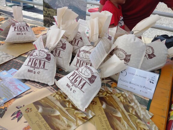 b4e68c45-bc0a-4f7b-8e96-a97fad6c0a8f