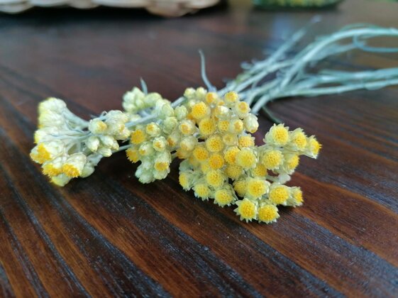 bb8490a1-2982-49b2-b8d1-6c591b258973