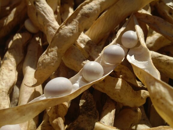 f637cbdb-87d3-415b-b90d-6e34026a481c