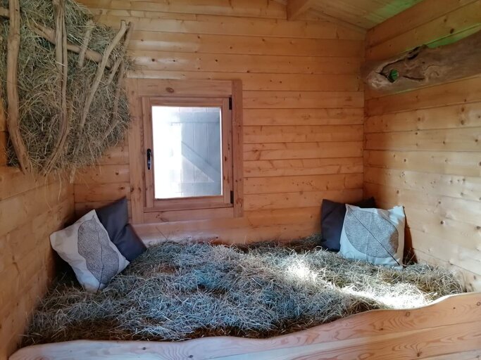 1f62df85-c7f7-4037-9189-a0f56d3cb149