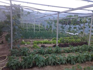 ef36c819-3dfa-4ad2-9f24-46f3aaff7191