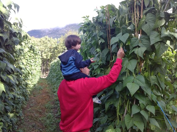 dc69707d-10ca-49a1-8599-409794a61c25