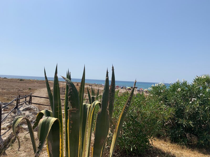 La scogliera La scogliera