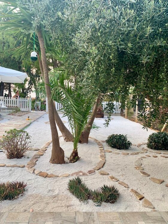 e3cc1ea5-bc38-4ccb-8fdf-5fff6f8e0128.jpeg e3cc1ea5-bc38-4ccb-8fdf-5fff6f8e0128.jpeg